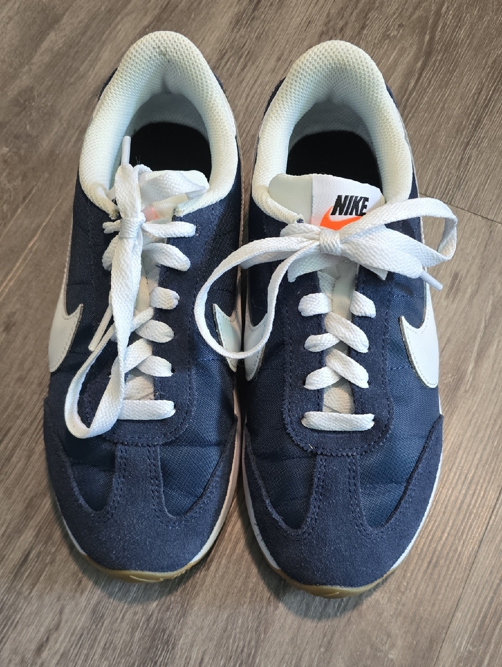 Nike Pacific Navy & White Low-Top Running Sneakers